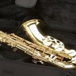 Best 5 Intermediate Saxophone (Alto, Tenor, Soprano) Reviews