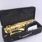 Best 5 Professional Saxophones (Alto, Tenor, Soprano) Reviews