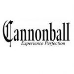 Best Cannonball Saxophone Model You Can Pick In 2022 Review