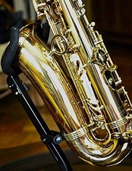 Yanagisawa WO20 Series Alto Saxophone Bronze review