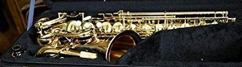 Yanagisawa WO20 Series Alto Saxophone Bronze