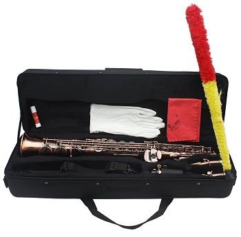 ammoon LADE Straight Bb Soprano Saxophone Sax review