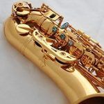 Best Two C-Melody Saxophones For Sale In 2022 Reviews & Guide
