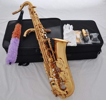 FidgetFidget Professional Gold brass C Melody sax review