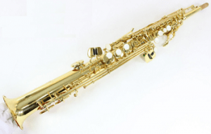 Best Brand Director Choice Sopranino Saxophone review