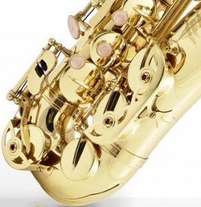 Eastar Alto Saxophone Red Bronze Vintage Sax Eb E-flat review